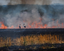 Фото з відкритих джерел