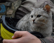 У Кривому Розі військових запрошують на групові психологічні консультації: як записатися