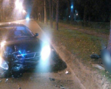 В Кривом Роге легковушка врезалась в дерево