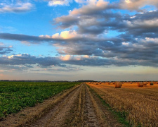 Фото з відкритих джерел      