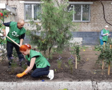 Красота своими руками: в Кривом Роге жители разбили цветник у себя во дворе