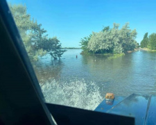 Фото з мережі інтернет