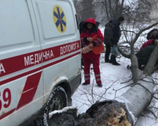 В Кривом Роге подгнившее дерево упало на женщину (фото)