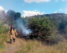 У Кривому Розі вогнеборці ліквідували займання сухостою