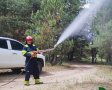 На Дніпропетровщині для захисту лісів від пожеж створюють мінералізовані смуги