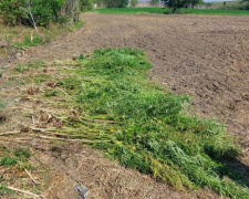 Фото ГУ Нацполіції у Дніпропетровській області