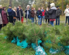 В Кривом Роге появилась сосновая аллея: в одном из парков города началась традиционная высадка деревьев (ФОТО)