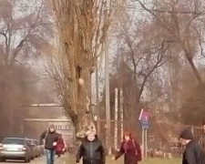 В Кривом Роге маломобильные граждане жалуются, что при ремонте дорог не учитывают их потребности