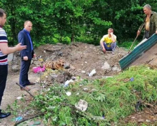 Чисто там, где не мусорят: в Кривом Роге нарушителей застали на &quot;горячем&quot; и сразу выписали штраф (фото)