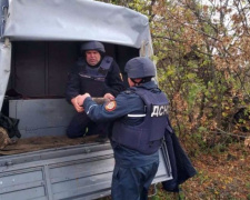 На территории частного домовладения в Широковском районе обнаружили боеприпасы (фото)