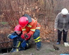 Фото ДСНС Дніпропетровської області