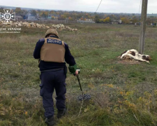 Фото: ГУ ДСНС України у Дніпропетровській області