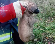 Фото ДСНС Дніпропетровської області