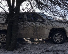 Авария в Кривом Роге: внедорожник вылетел в кювет и свалил столб (ФОТО)