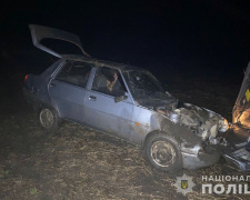 Автокрадій скоїв ДТП: поліція затримала невдаху