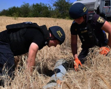 За добу піротехніки ДСНС знешкодили 1 343 вибухонебезпечні предмети