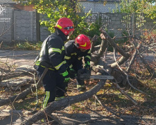 Ні проїхати, ні пройти: у Кривому Розі надзвичайники продовжують ліквідацію наслідків вчорашньої негоди