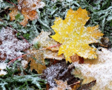 Фото із мережі Інтернет