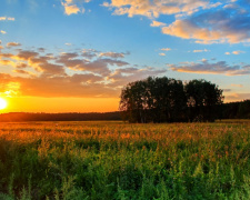 Фото з відкритих джерел 