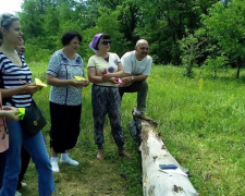 В Кривом Роге педагоги  соревновались в игре Safari Park