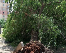 В Кривом Роге и на выходных продолжат убирать поваленные деревья