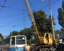 Фото очевидцев происшествия