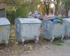 В Кривом Роге обнаружено животное со снятой шкурой (ВИДЕО 18+)