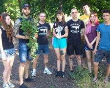 В Кривом Роге перешли от слов к делу: на Солнечном и Юбилейном вырывали амброзию (ФОТО)