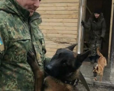 фото поліції Дніпропетровської області 