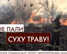 За добу криворізькі рятувальники виїжджали шість разів на гасіння пожеж очерету