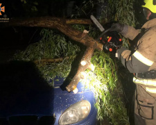 Фото: ГУ ДСНС України у Дніпропетровській області