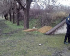 В Кривом Роге бдительными гражданами остановлено хищение ограждения (ФОТО)