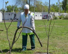 В Кривом Роге озеленили модульный городок для переселенцев (ФОТО)