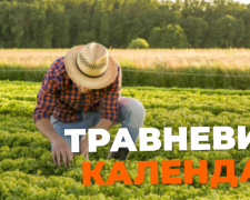 Посівний календар на травень-2023: коли краще висаджувати овочі та дерева