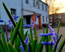 Фото: Інгулецький суд