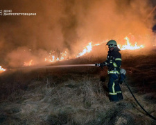 На Дніпропетровщині затримали підпалювачів сухостою у природних екосистемах: що їх очікує