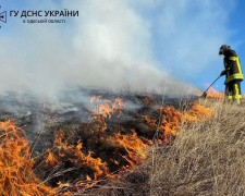 В Україні вже фіксуються пожежі в екосистемах – пожежні нагадують про відповідальність