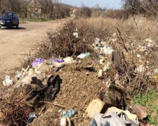 В Покровском районе Кривого Рога ликвидировали свалку(ФОТО)