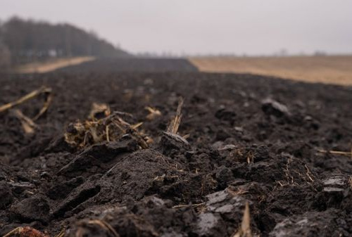 Фото із мережі Інтернет