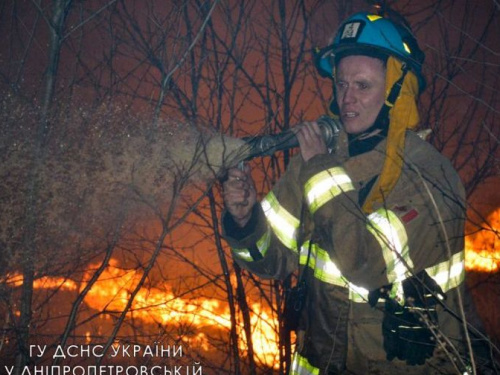 Уряд пропонує криміналізувати навмисні підпали сухостою