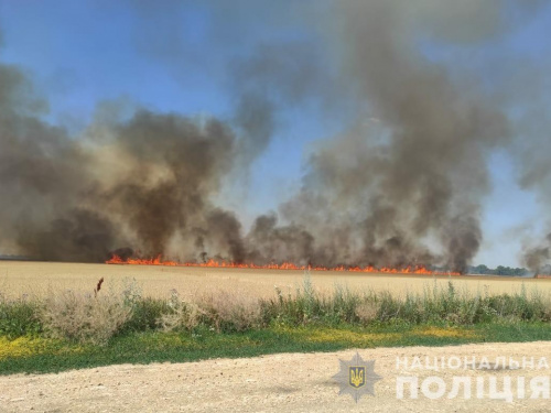 Поліція відкрила кримінальні провадження щодо цілеспрямованого знищення врожаю на Херсонщині військовими рф