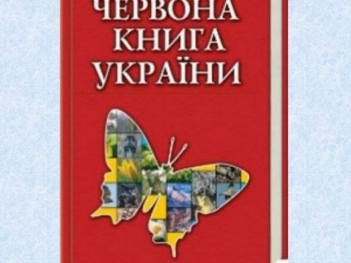 В Красную книгу Украины добавили 171 вид животных