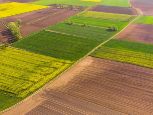 Фото із мережі Інтернет