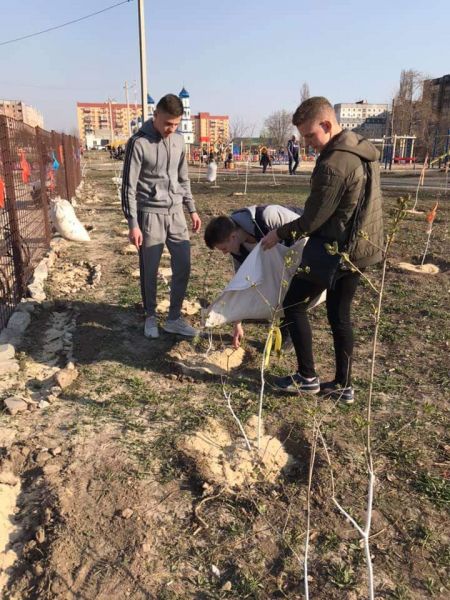 Новые скамейки, молоденькие деревца: в самом активном районе Кривого Рога продолжается благоустройство (фото)