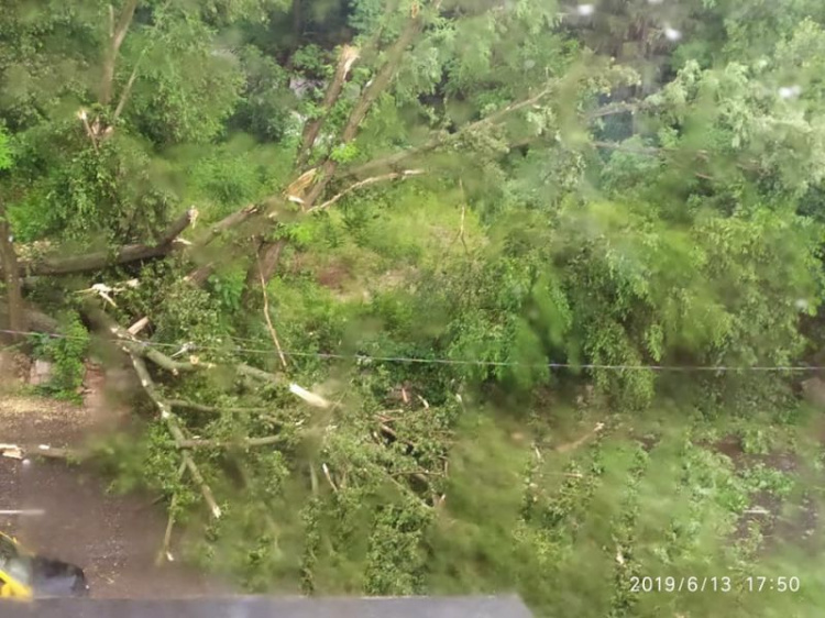 В Кривом Роге бушует стихия: улицы затоплены, деревья повалены (фотофакт)