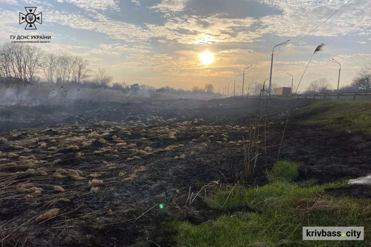 Горить і палає: за добу вогнеборці ліквідували 48 пожеж в екосистемах Дніпропетровщини