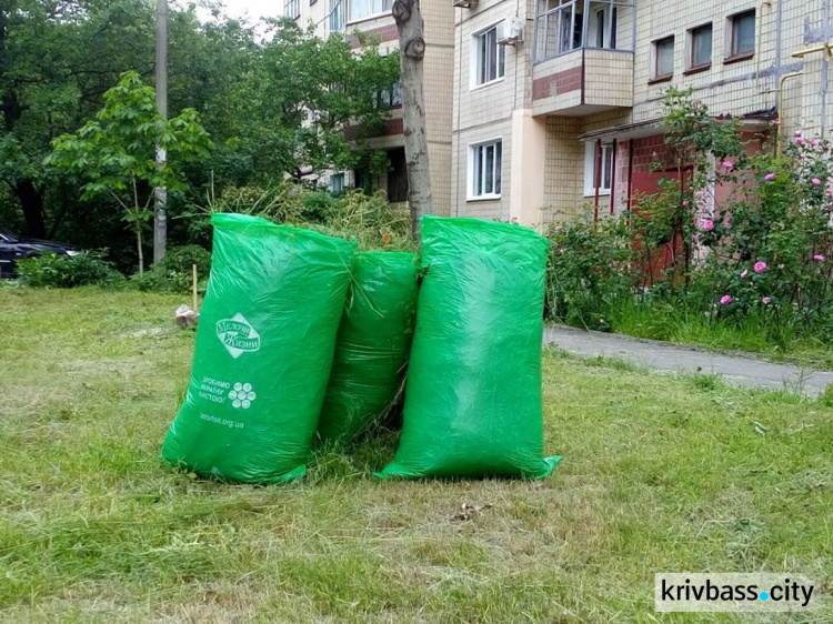 В двух районах Кривого Рога поставили новую детскую площадку и облагородили дворы (ФОТО)