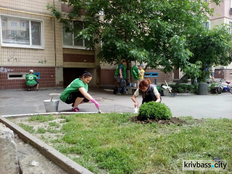 В двух районах Кривого Рога поставили новую детскую площадку и облагородили дворы (ФОТО)