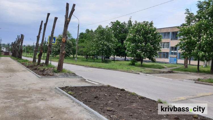 Припинити обрізку дерев “до стовпа” вимагають від місцевої влади у Кривому Розі