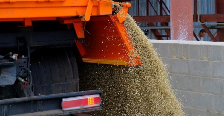 Цього року на Дніпропетровщині зібрали понад 3,5 млн тонн зерна